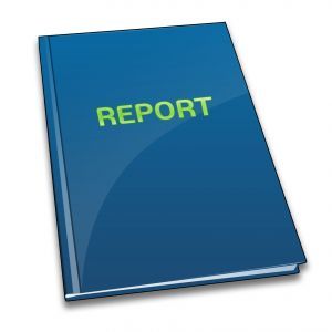 Access export report pdf vba