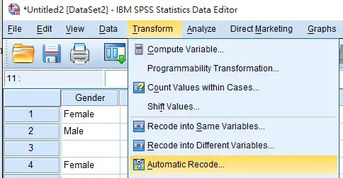 SPSS Automatic Recode 02